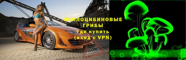 соль ск Богданович