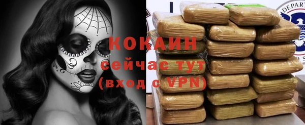 соль ск Богданович