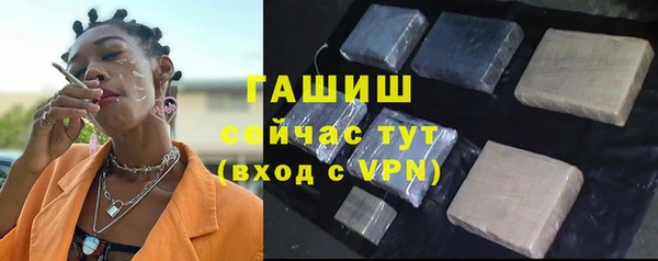 соль ск Богданович