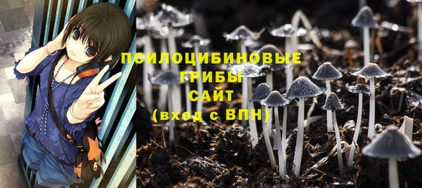 метамфетамин Богородицк