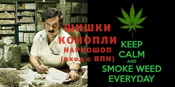 соль ск Богданович